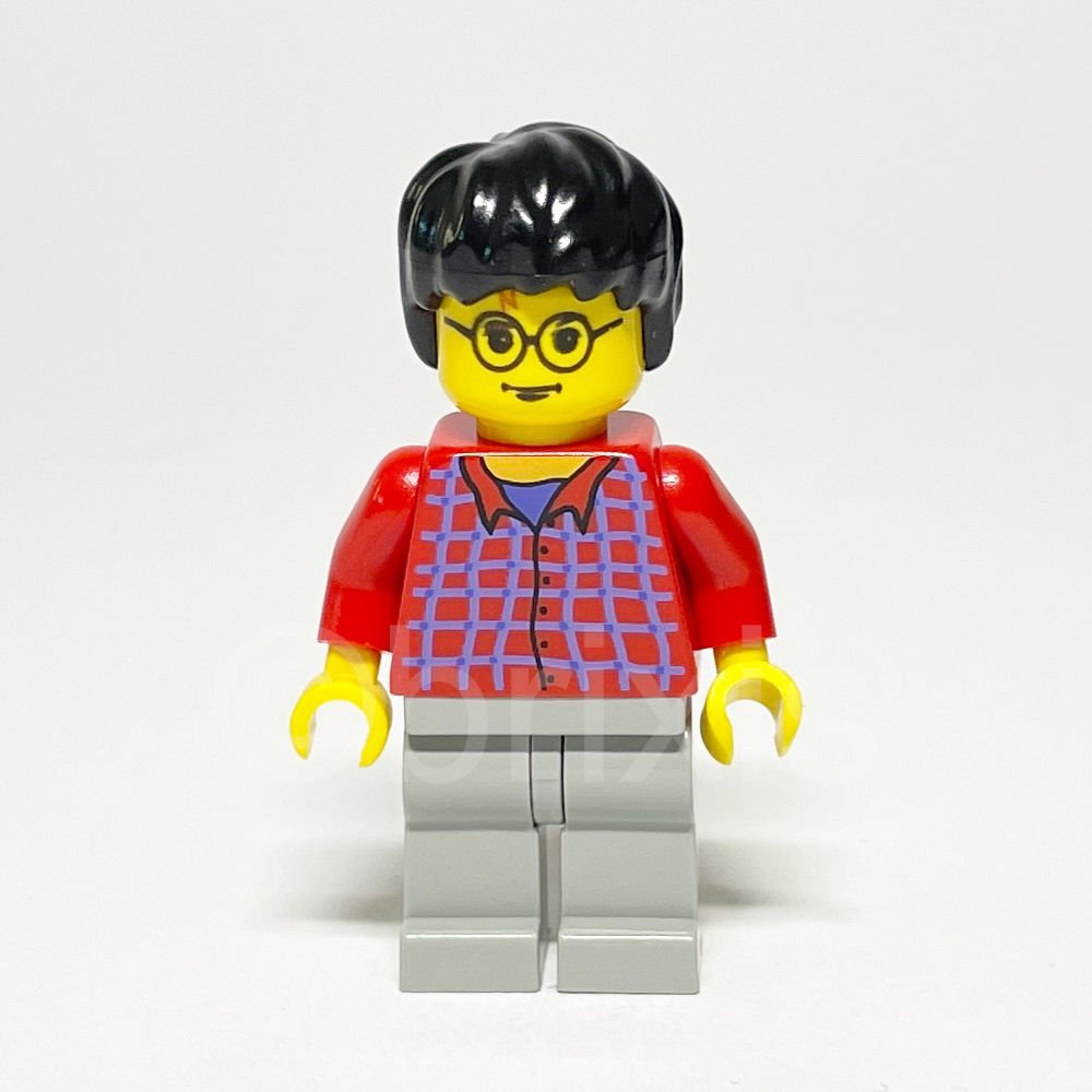 LEGO Harry Potter: Harry Potter (HP025) - LEGO Harry Potter Harry Potter Minifigure HP025 LEGO Harry Potter Harry Potter Minifigure HP025 Vorderansicht