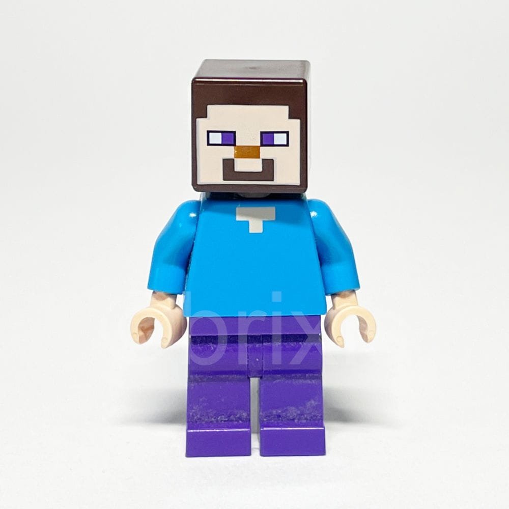 LEGO Minecraft: Steve (MIN009) LEGO Minecraft: Steve (MIN009) gebraucht von bolino