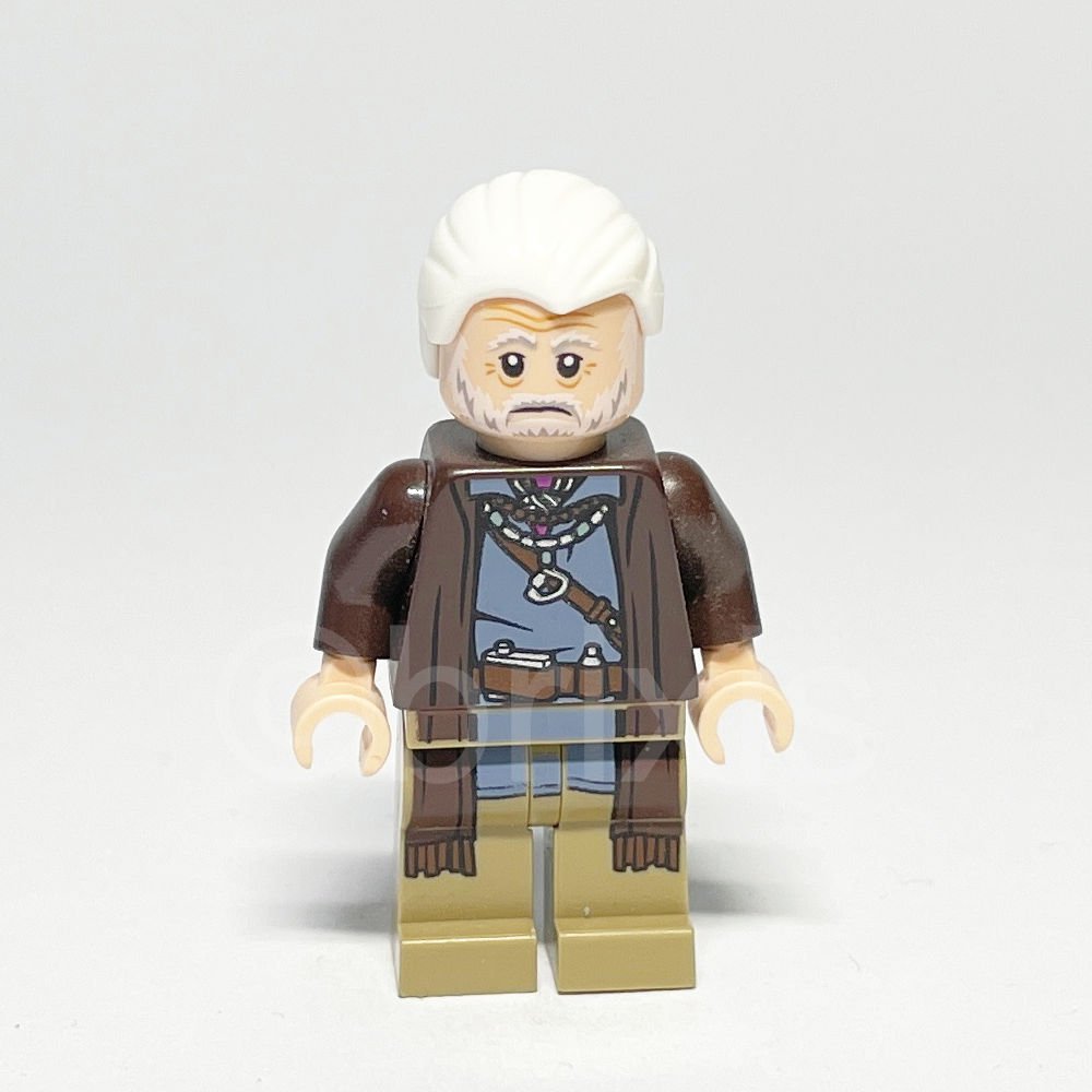 LEGO Star Wars: Lor San Tekka (SW0738) - LEGO Star Wars Lor San Tekka Minifigure SW0738 LEGO Star Wars Lor San Tekka Minifigure SW0738 Vorderansicht
