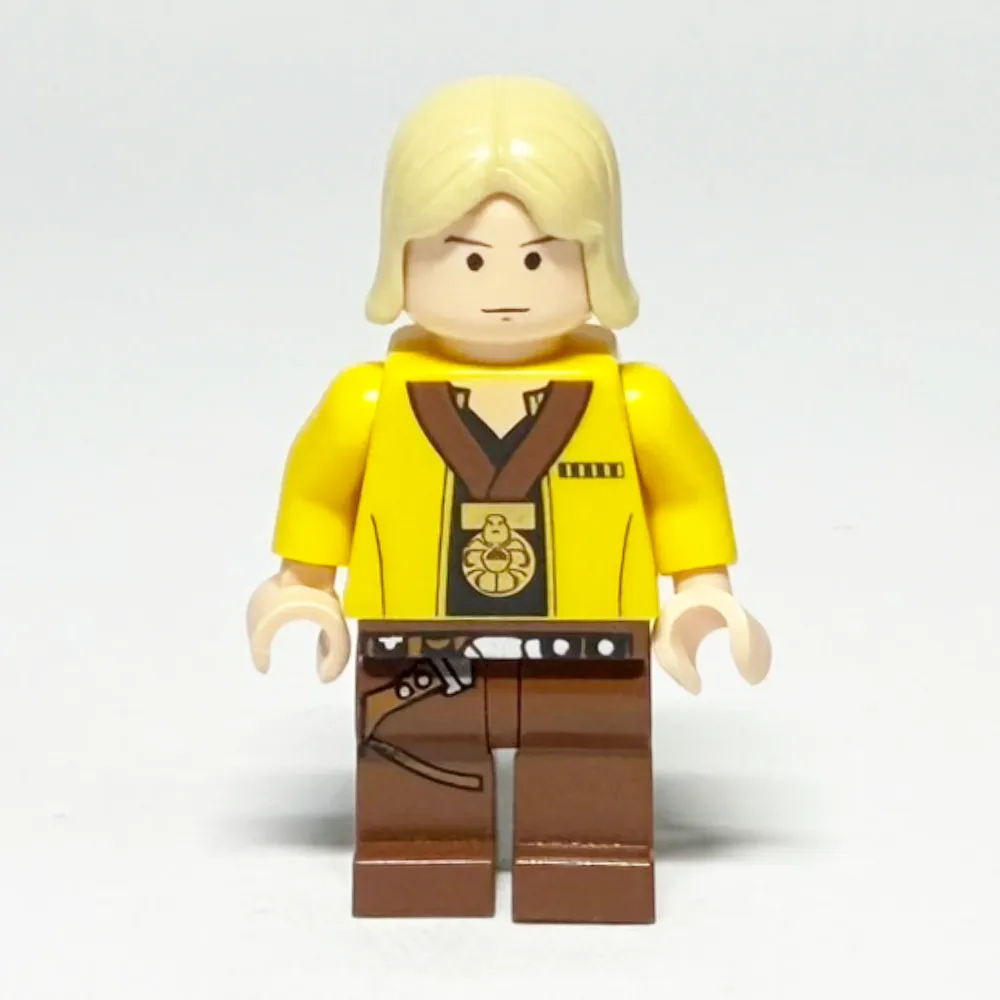 LEGO Star Wars: Luke Skywalker (SW0257) LEGO Star Wars: Luke Skywalker (SW0257) gebraucht von bolino