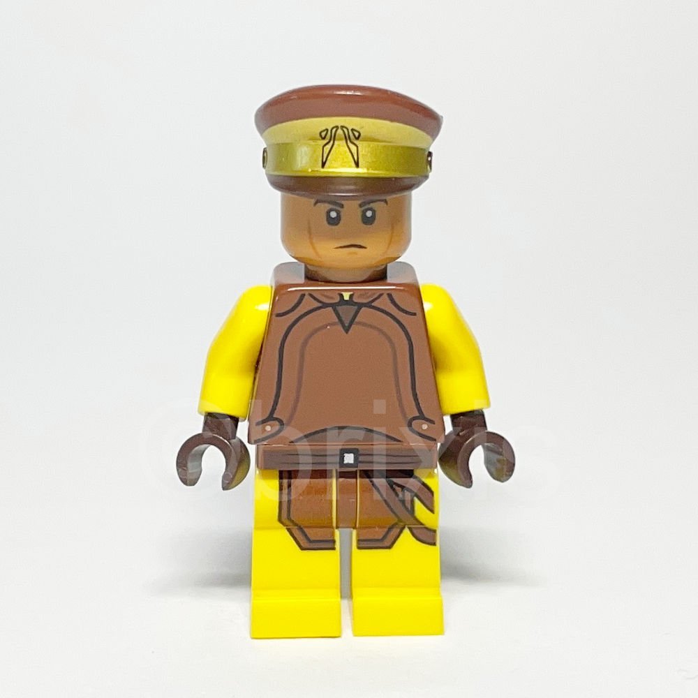 LEGO Star Wars: Naboo Security Guard (SW0594) - LEGO Star Wars Naboo Security Guard Minifigure SW0594 LEGO Star Wars Naboo Security Guard Minifigure SW0594 Vorderansicht