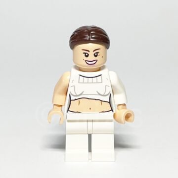 LEGO Star Wars Padme Amidala Minifigure SW0490 Vorderansicht