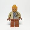 LEGO Star Wars Weequay Guard Minifigure SW1197 Vorderansicht