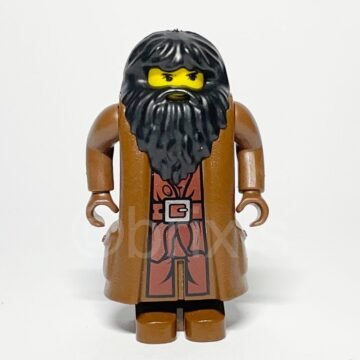 Lego Minifigur HP009 Rubeus Hagrid Vorderansicht