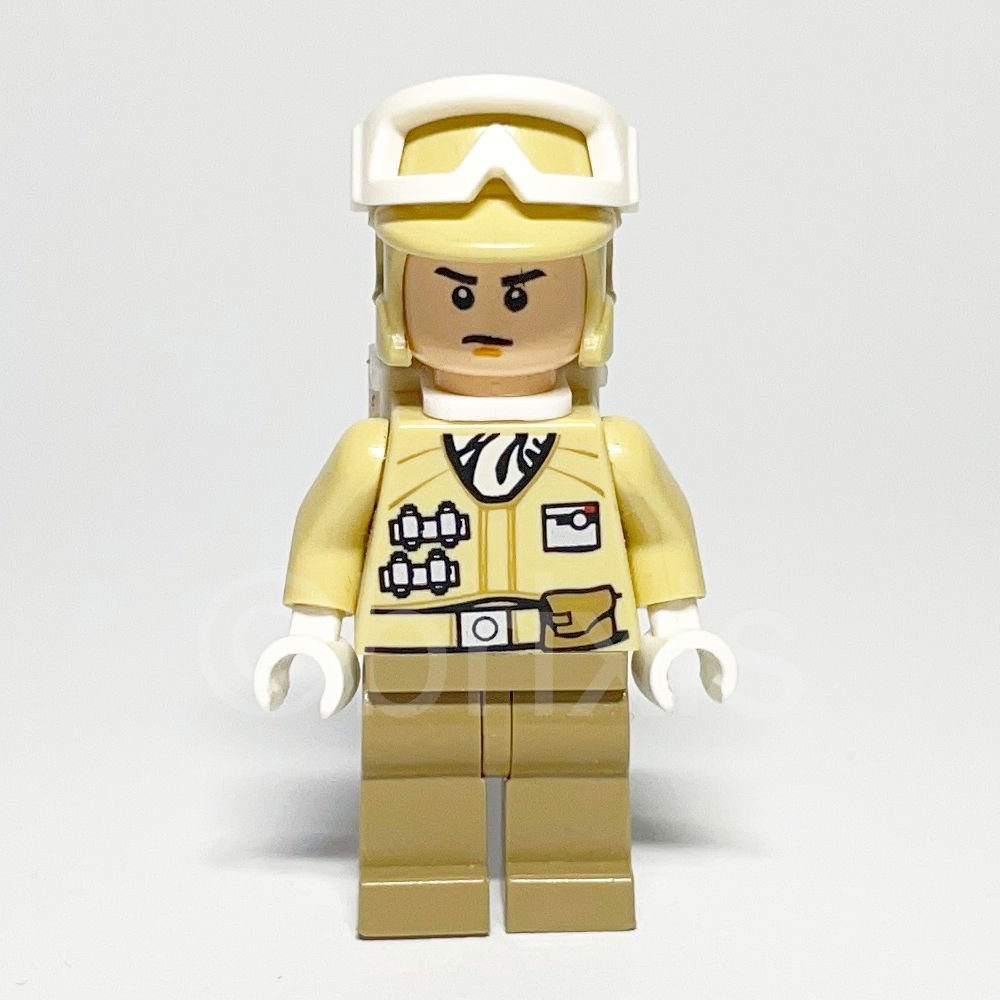 LEGO Star Wars: Hoth Rebel Trooper (SW0259) LEGO Star Wars: Hoth Rebel Trooper (SW0259) gebraucht von bolino