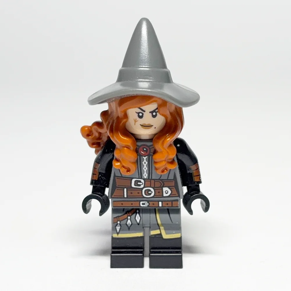 LEGO Collectible Minifigures: Tasha the Witch Queen (COLDND12) LEGO Collectible Minifigures: Tasha the Witch Queen (COLDND12) gebraucht von bolino