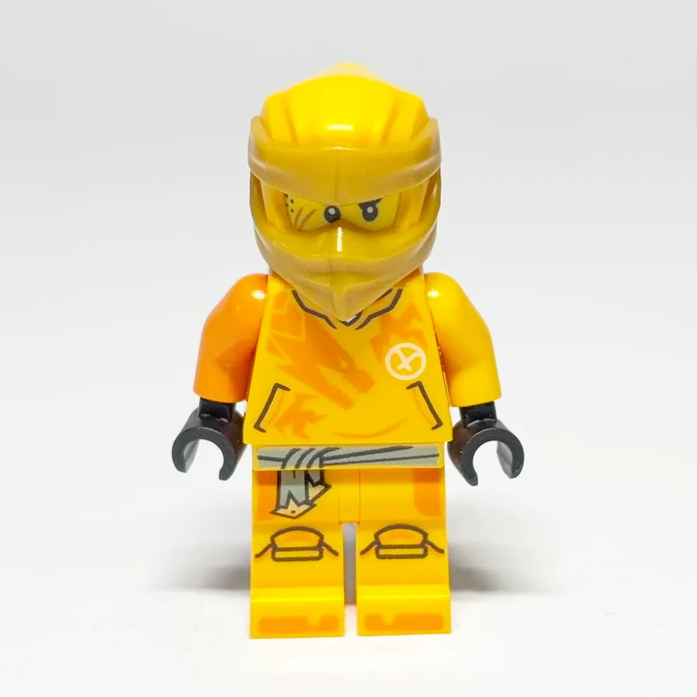 LEGO NINJAGO: Arin (NJO0850) LEGO NINJAGO: Arin (NJO0850) gebraucht von bolino