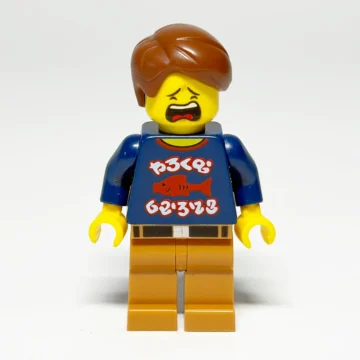 Lego The Lego Ninjago Movie Henry Njo0351 gebraucht – Vorderansicht